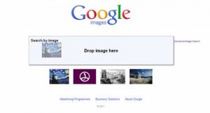 Drag and drop feature: Google images