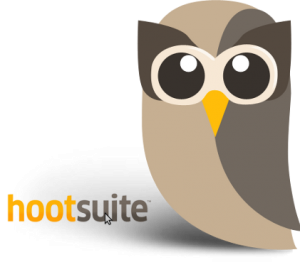 Owl logo for Hootsuite