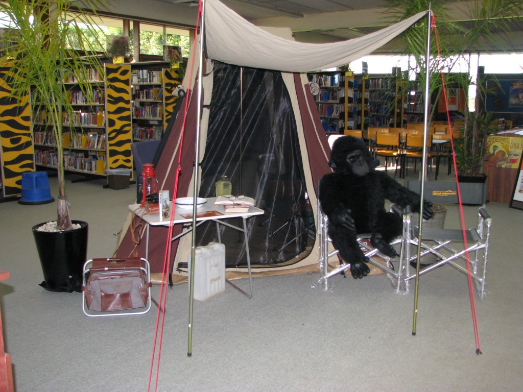 Camping out in the library...
