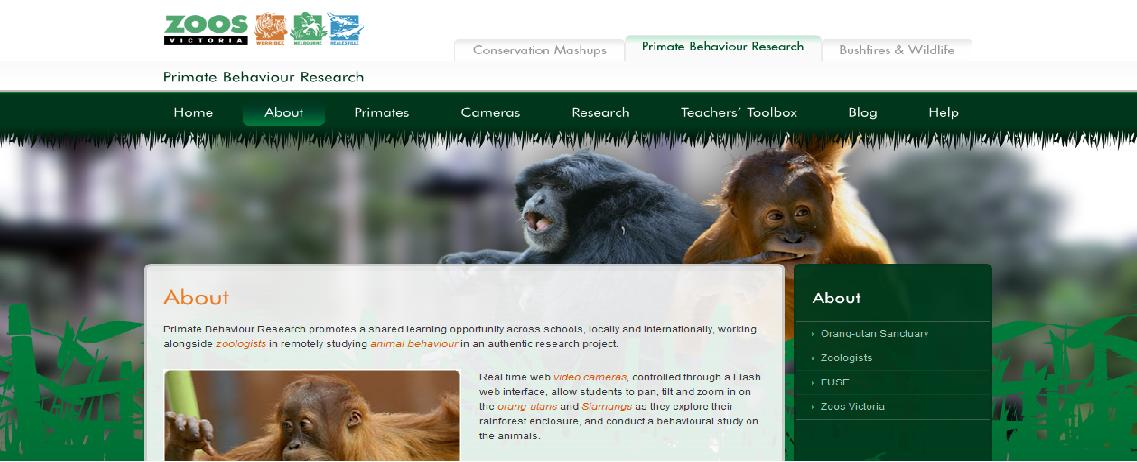 Primate behaviour research